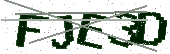 Verification characters